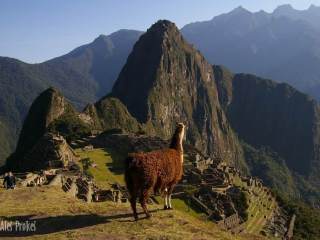 Machu Picchu