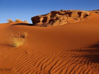 Poušť Wadi Rum