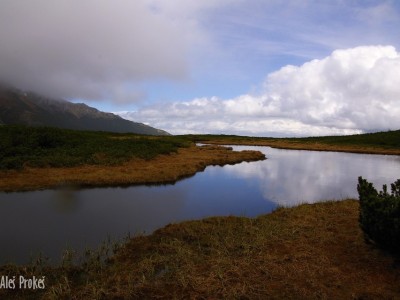 Trojrohé pleso