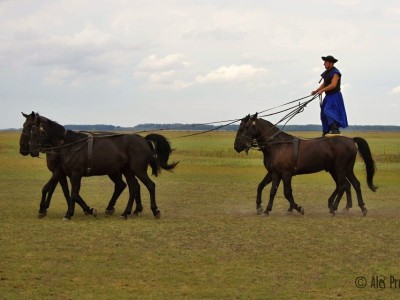 Ukázka umění místních honáků (Čikošů), Národní park Hortobágy