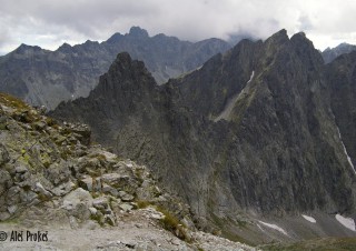 Sedlo Sedielko, Javorový štít