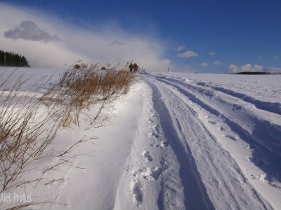 Cesta u Řikonína