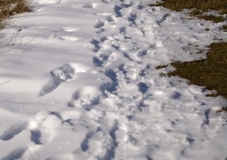 Cesta nad Studnicemi