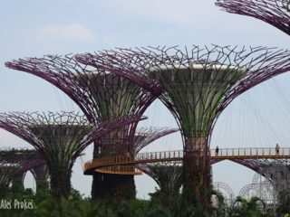 Super stromy v Gardens by the Bay