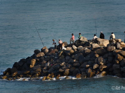 Molo v Perském zálivu u Ras Al Khaimah